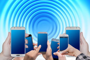 华体会app安装-体育赛事数字化运营模式探讨，体育数字化转型